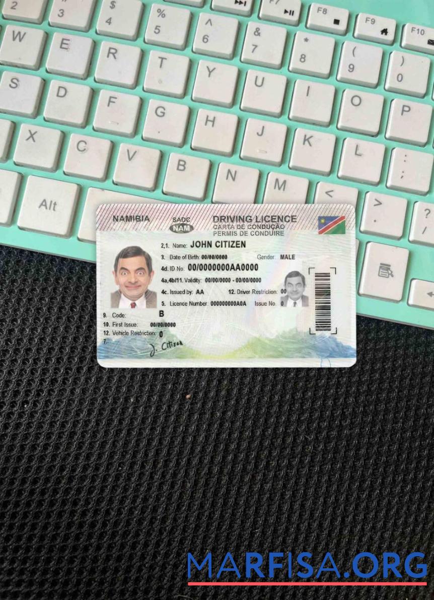 Blank Namibia DL photolook template